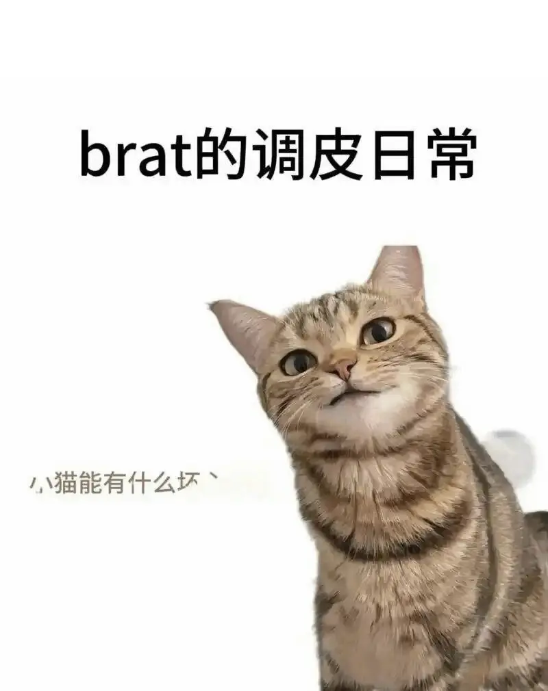 西檬之家-OTK是什么？字母圈新人必知的跨膝惩戒指南