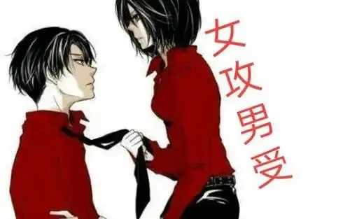 【西檬之家】k8猫系解析：字母圈新人如何理解猫咪角色？