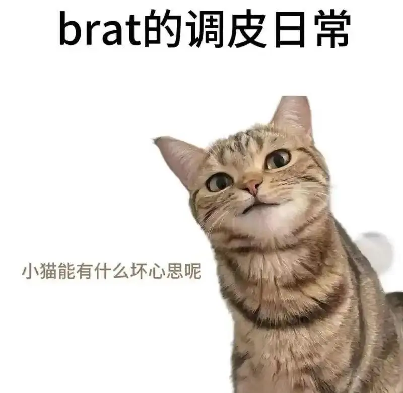【西檬之家】恋足癖与字母圈：新人入圈的安全指南