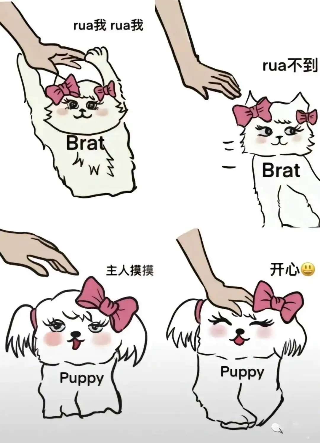 【西檬之家】BDSM女王指南：新人的权力交换第一课