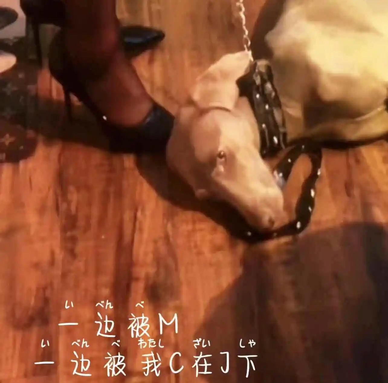 西檬之家-TK在BDSM字母圈中是什么意思？新人入门指南