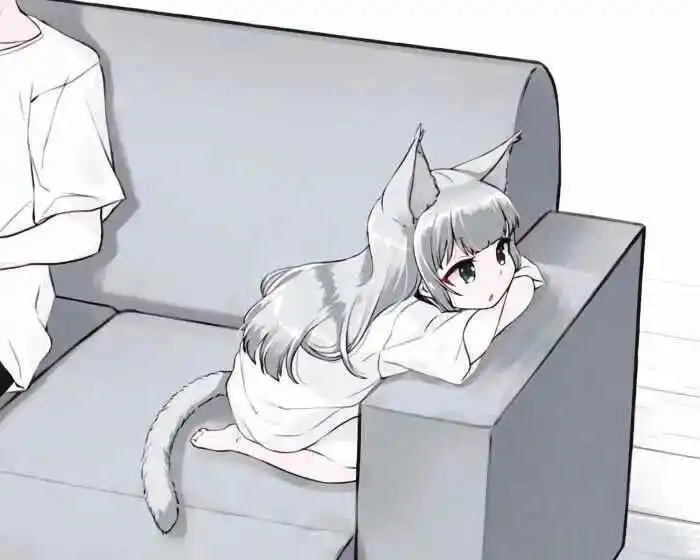 【西檬之家】k8猫系角色解析：字母圈新人的宠物扮演指南