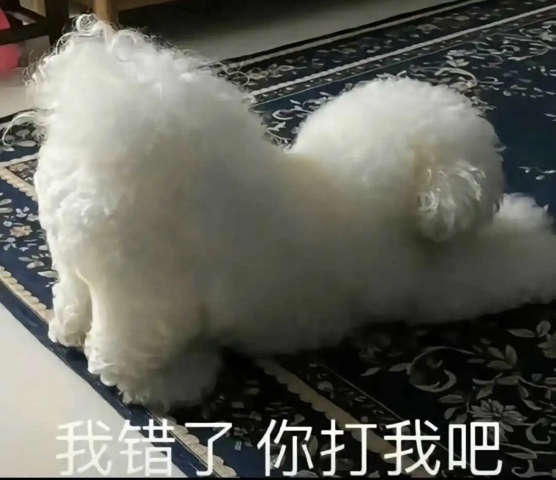 西檬之家-k8是什么？字母圈新人的宠物角色扮演指南