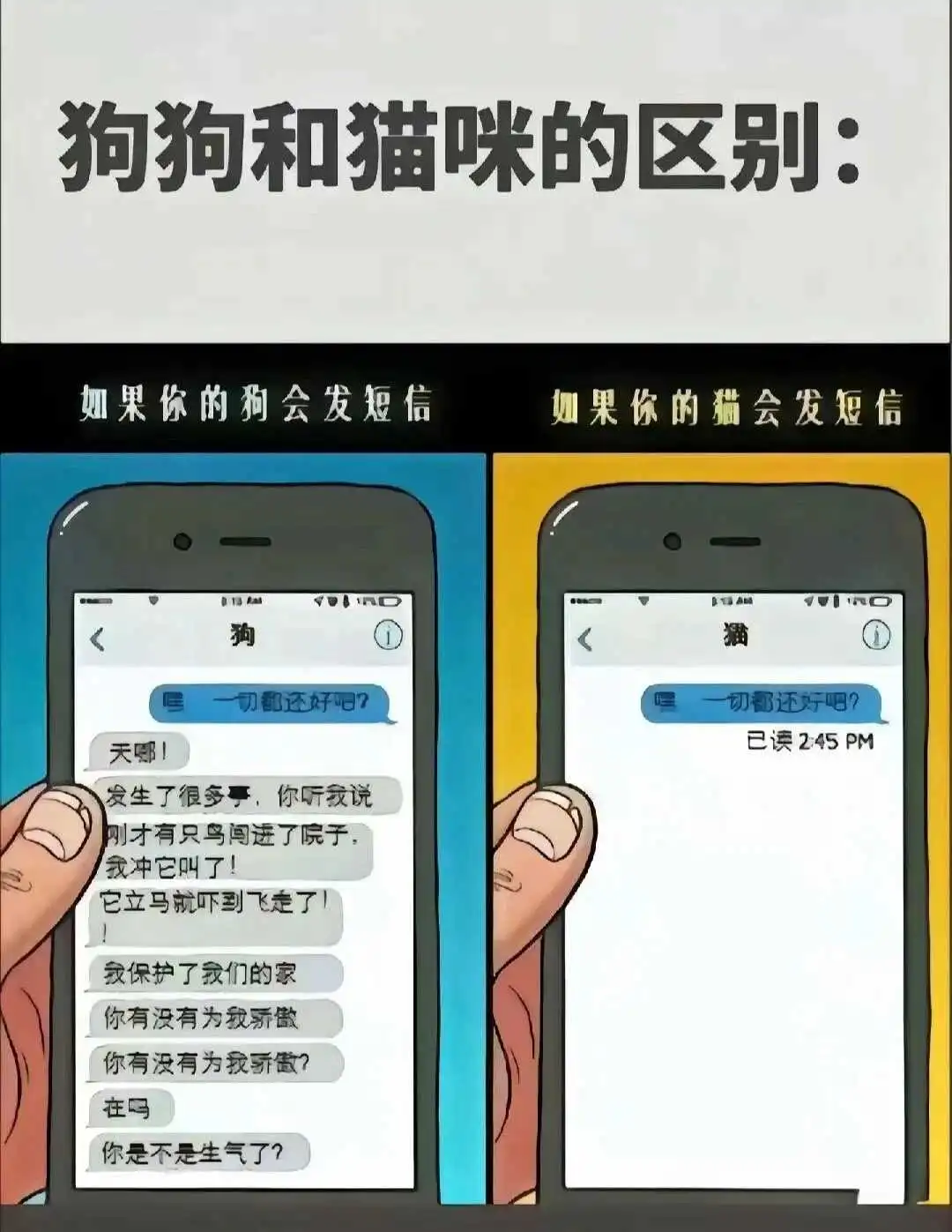 【西檬之家】K9是什么？字母圈新人必知的犬系角色扮演指南